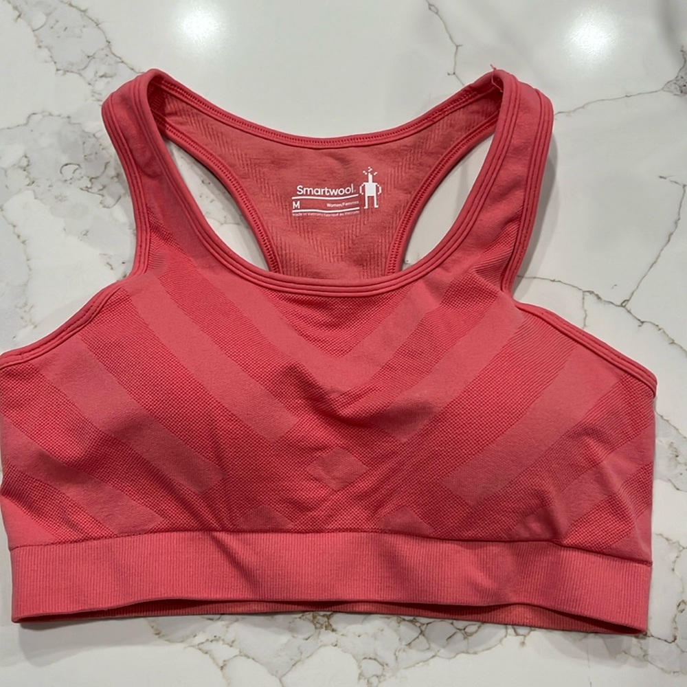 Smart wool sports bra with removable padding. Size M.